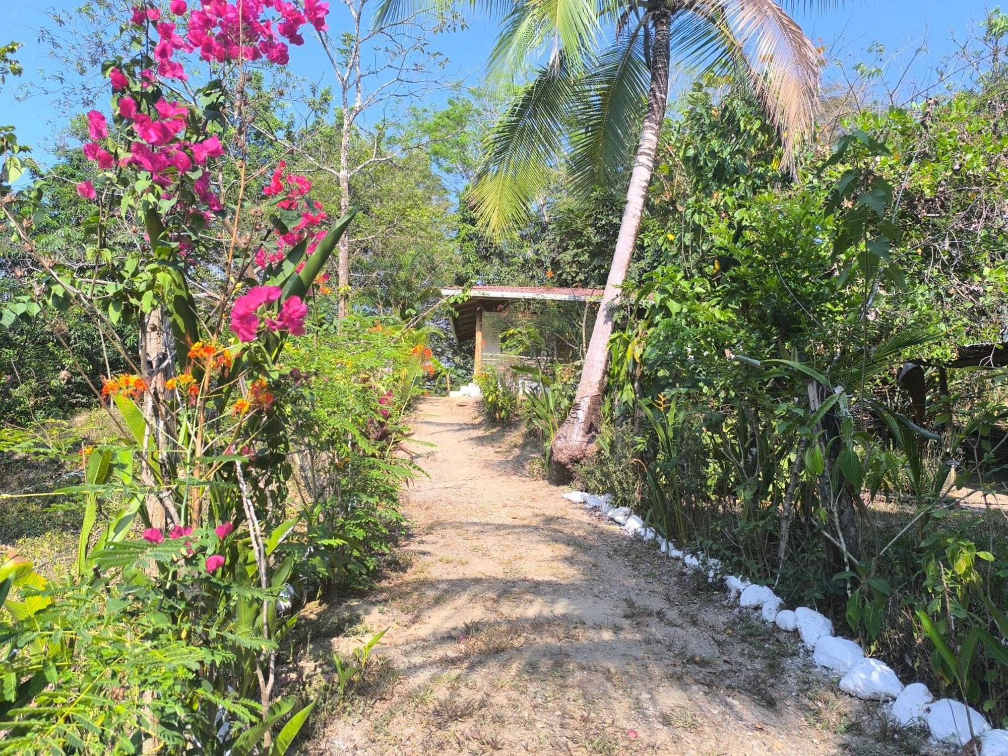 Casa Paraiso Manzanillo  Экстерьер фото